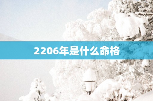 2206年是什么命格 2206年是什么命格
