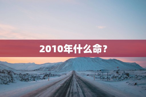 2010年什么命？