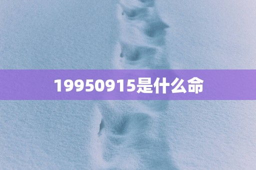 19950915是什么命