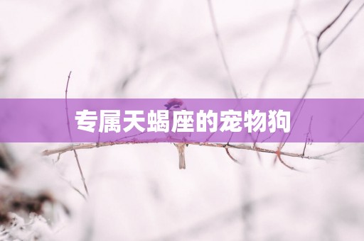 专属天蝎座的宠物狗