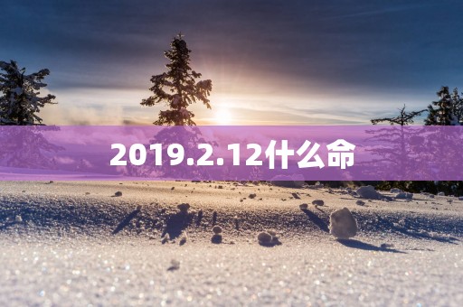 2019.2.12什么命