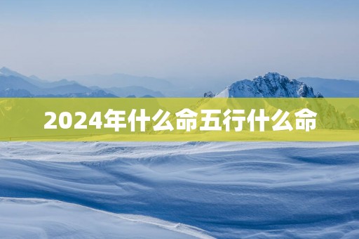 2025年什么命五行什么命