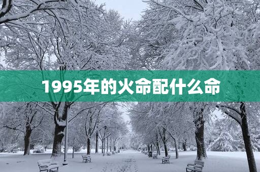 1995年的火命配什么命