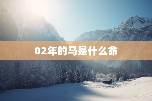 02年的马是什么命