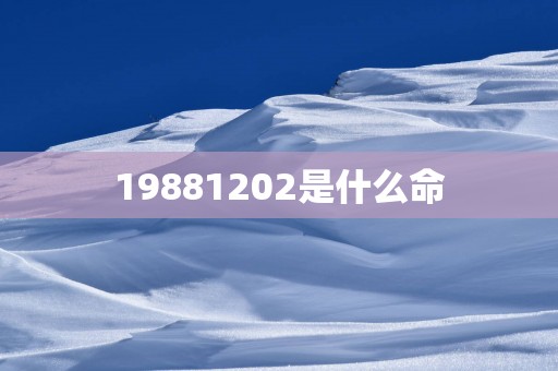 19881202是什么命