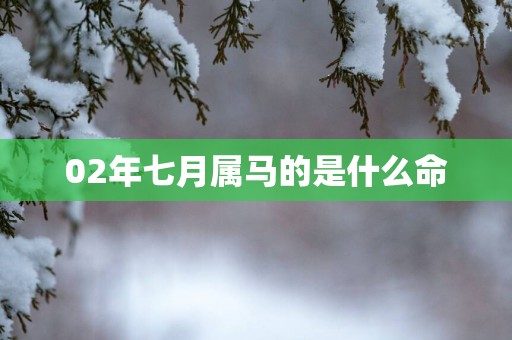 02年七月属马的是什么命
