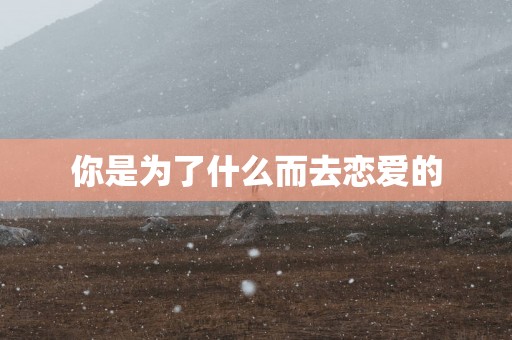 你是为了什么而去恋爱的