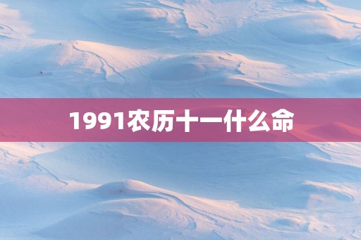 1991农历十一什么命