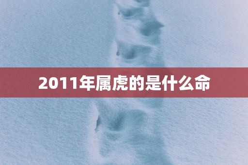 2011年属虎的是什么命