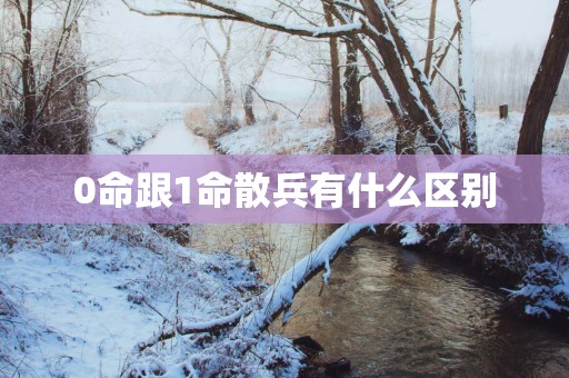 0命跟1命散兵有什么区别