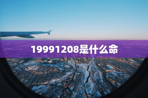 19991208是什么命