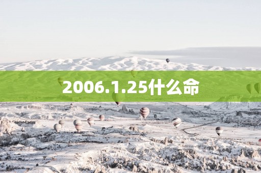 2006.1.25什么命