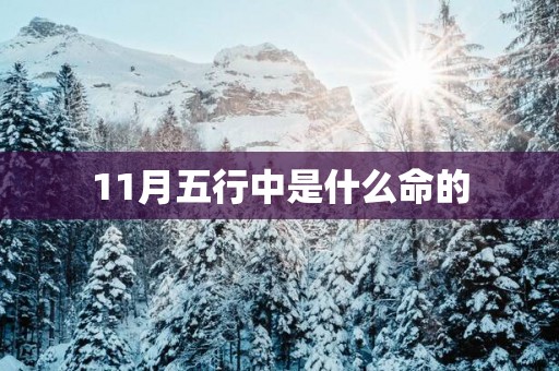 11月五行中是什么命的