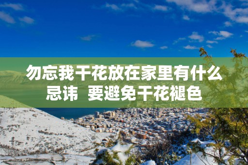 勿忘我干花放在家里有什么忌讳  要避免干花褪色