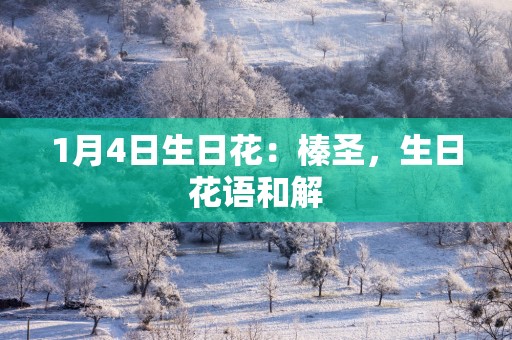 1月4日生日花：榛圣，生日花语和解