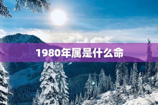 1980年属是什么命