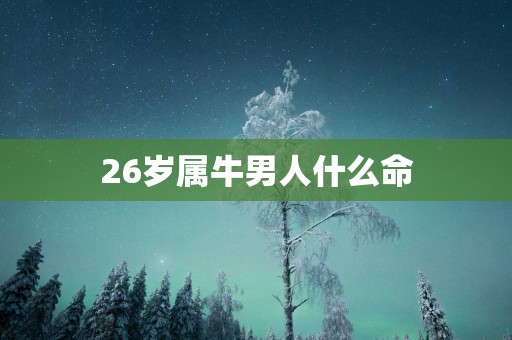 26岁属牛男人什么命