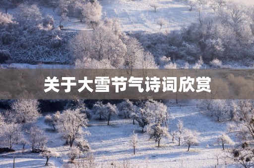 关于大雪节气诗词欣赏