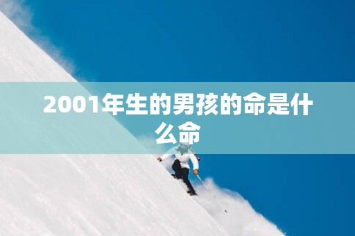 2001年生的男孩的命是什么命