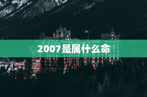 2007是属什么命