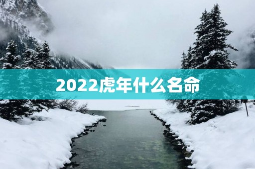 2025蛇年什么名命