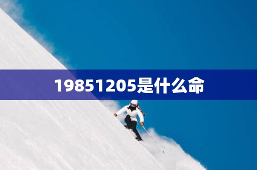 19851205是什么命