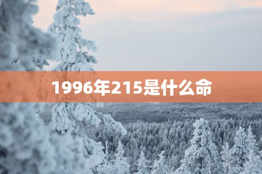 1996年215是什么命
