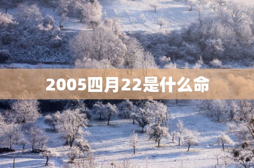 2005四月22是什么命