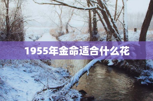 1955年金命适合什么花