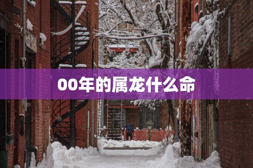 00年的属龙什么命
