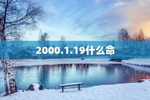 2000.1.19什么命