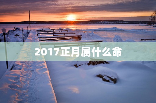 2017正月属什么命