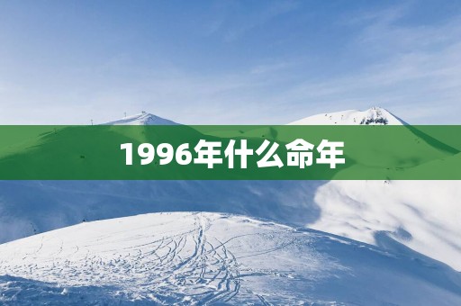 1996年什么命年