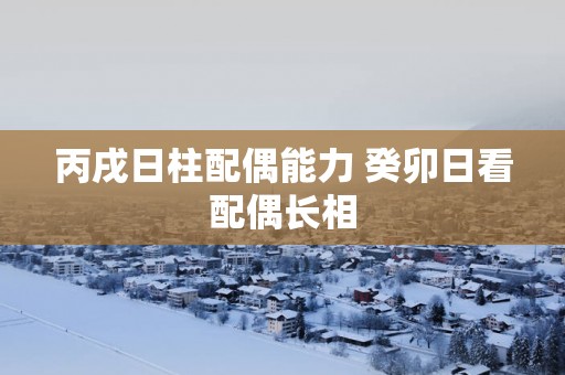 丙戌日柱配偶能力 癸卯日看配偶长相