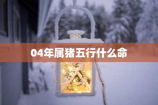 04年属猪五行什么命