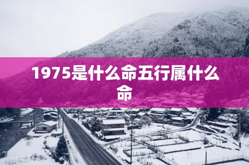 1975是什么命五行属什么命