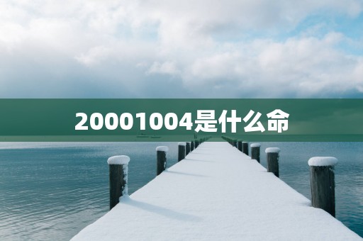 20001004是什么命