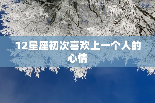 12星座初次喜欢上一个人的心情