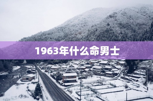 1963年什么命男士