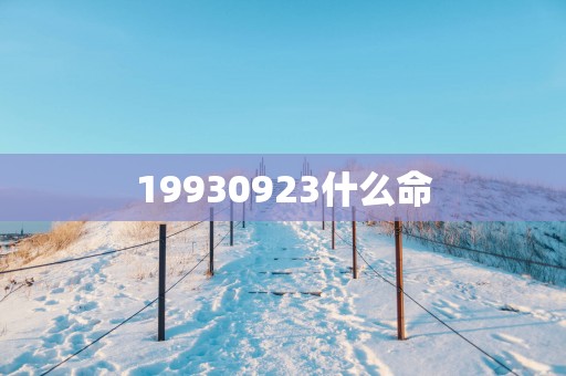 19930923什么命