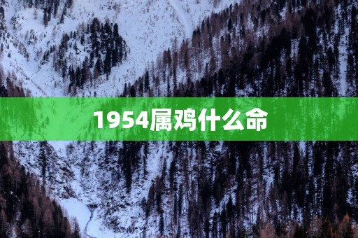1954属鸡什么命