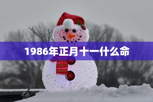 1986年正月十一什么命