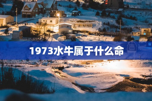 1973水牛属于什么命