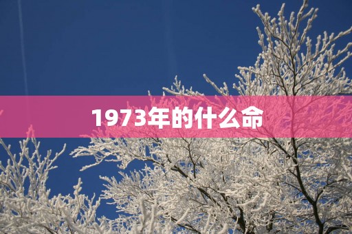 1973年的什么命