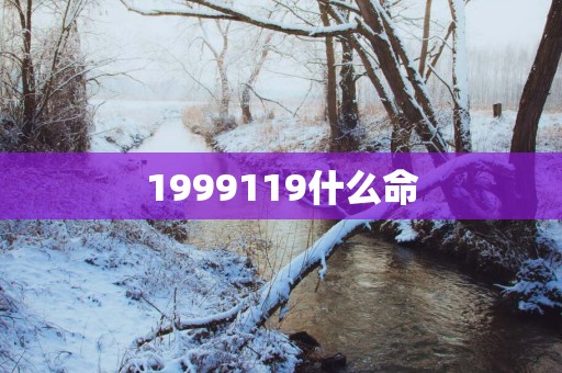 1999119什么命
