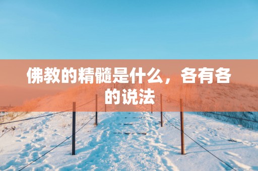 佛教的精髓是什么，各有各的说法