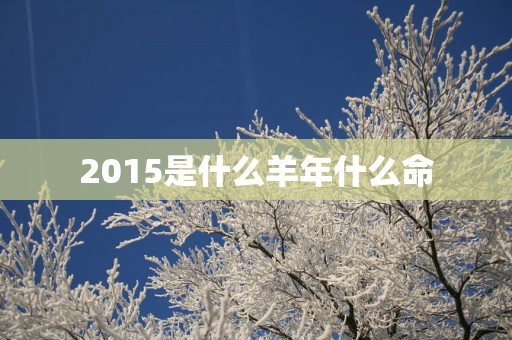 2015是什么羊年什么命