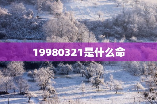 19980321是什么命