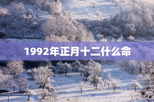 1992年正月十二什么命