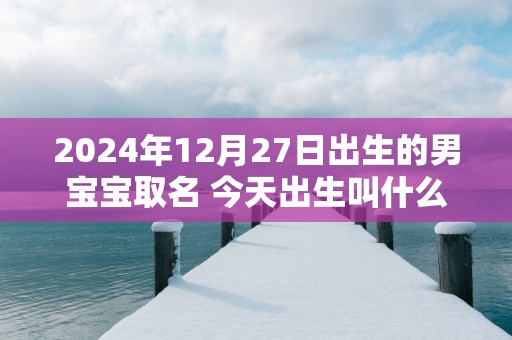2025年12月27日出生的男宝宝取名 今天出生叫什么名字好